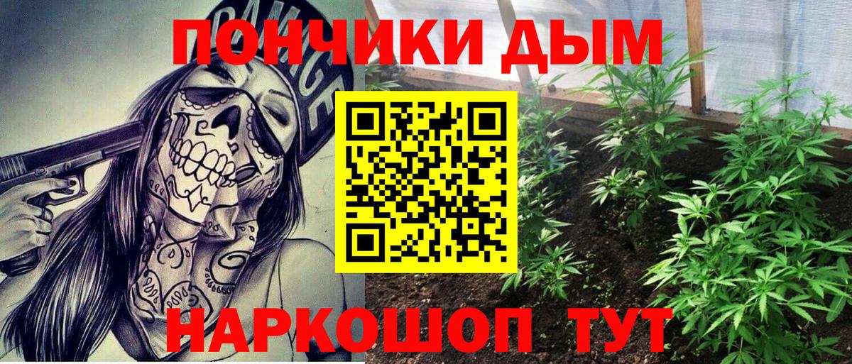 Бошки Шишки семена  Вход с VPN  Серпухов  Конопля MAZAR 